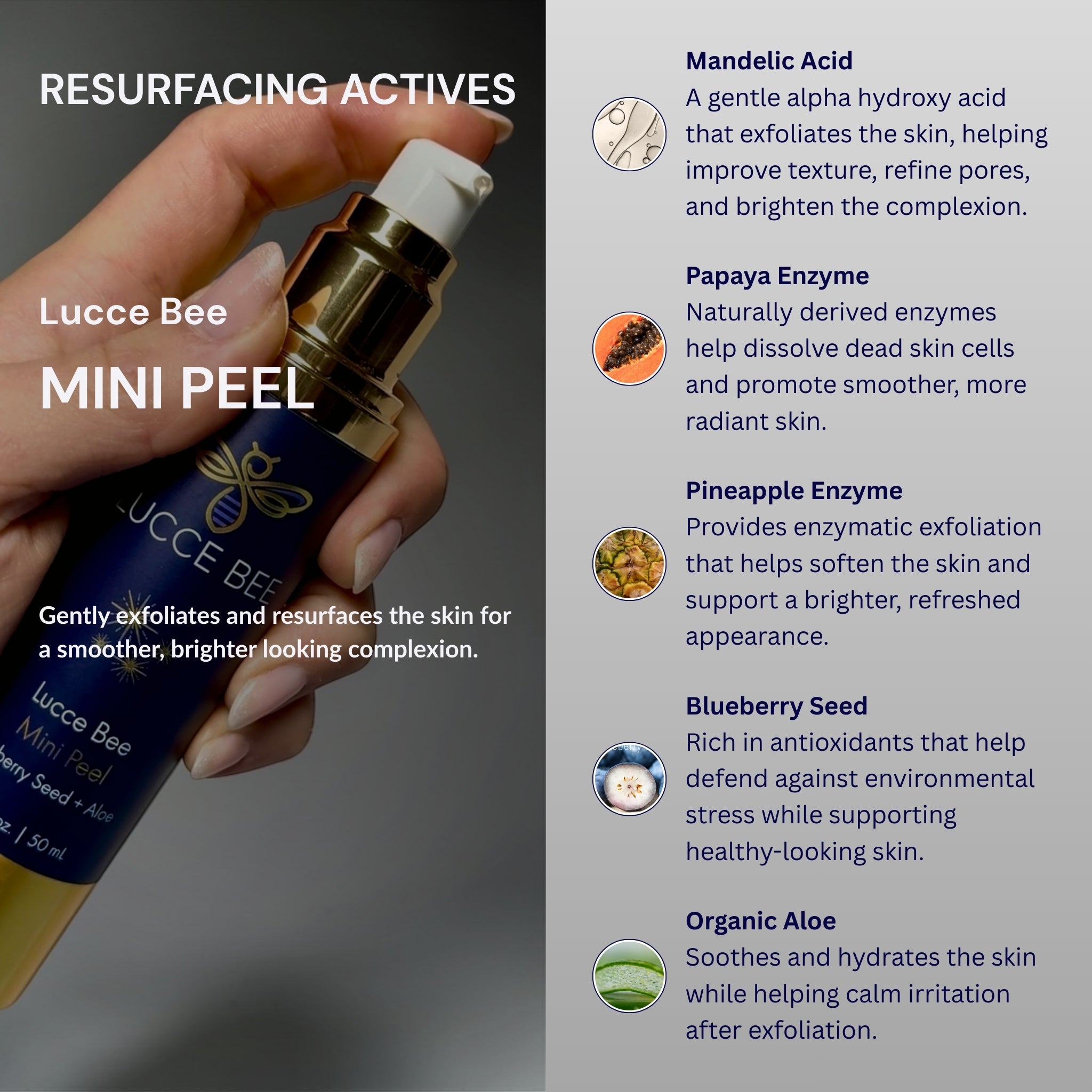 Mini Peel - Blueberry Seed + Aloe - Lucce Bee